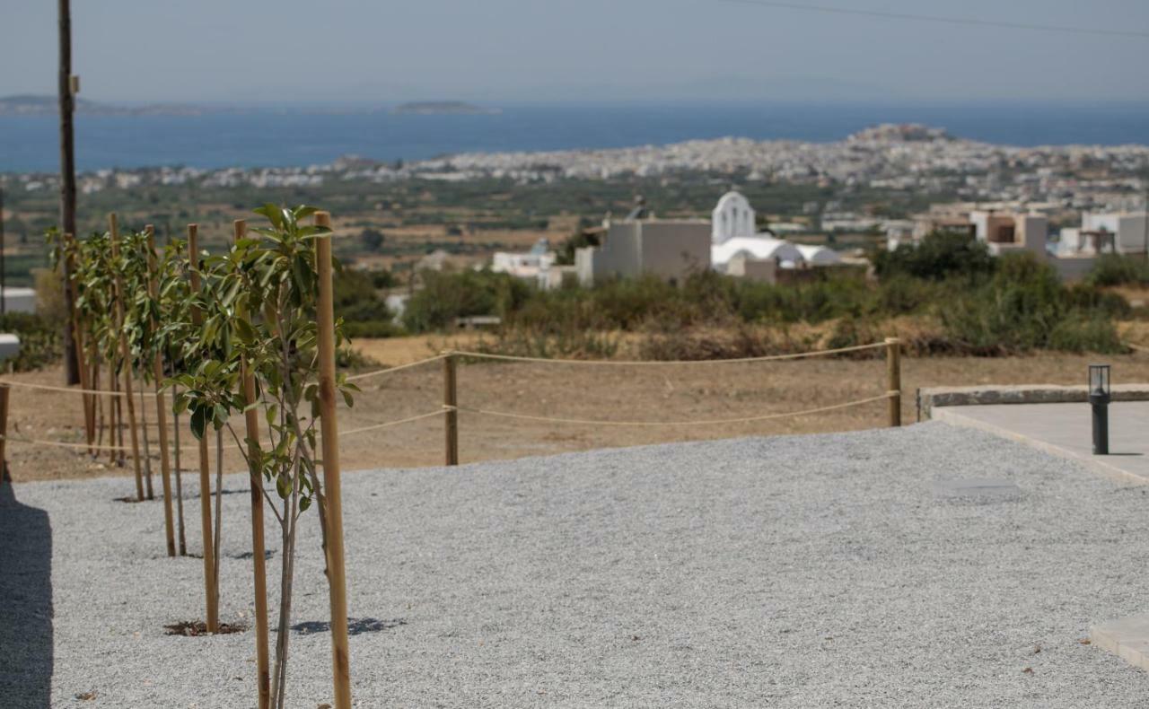Naxos Infinity Villa And Suites Galanado Zewnętrze zdjęcie